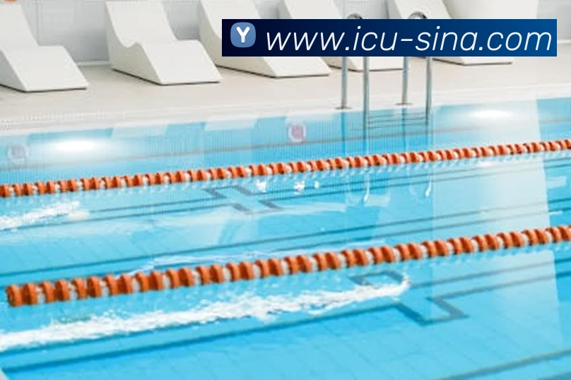 新浪体育平台生态图